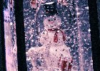 最新资讯-太仓冬天的第一场雪